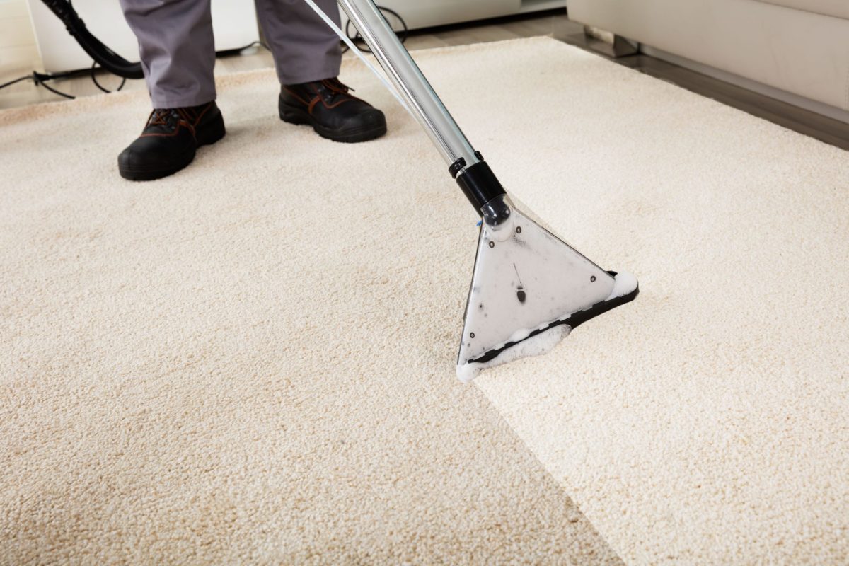 Professional Carpet Cleaning in Orlando Florida using professional