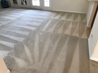 Carpet Cleaning Service in Orlando Florida price